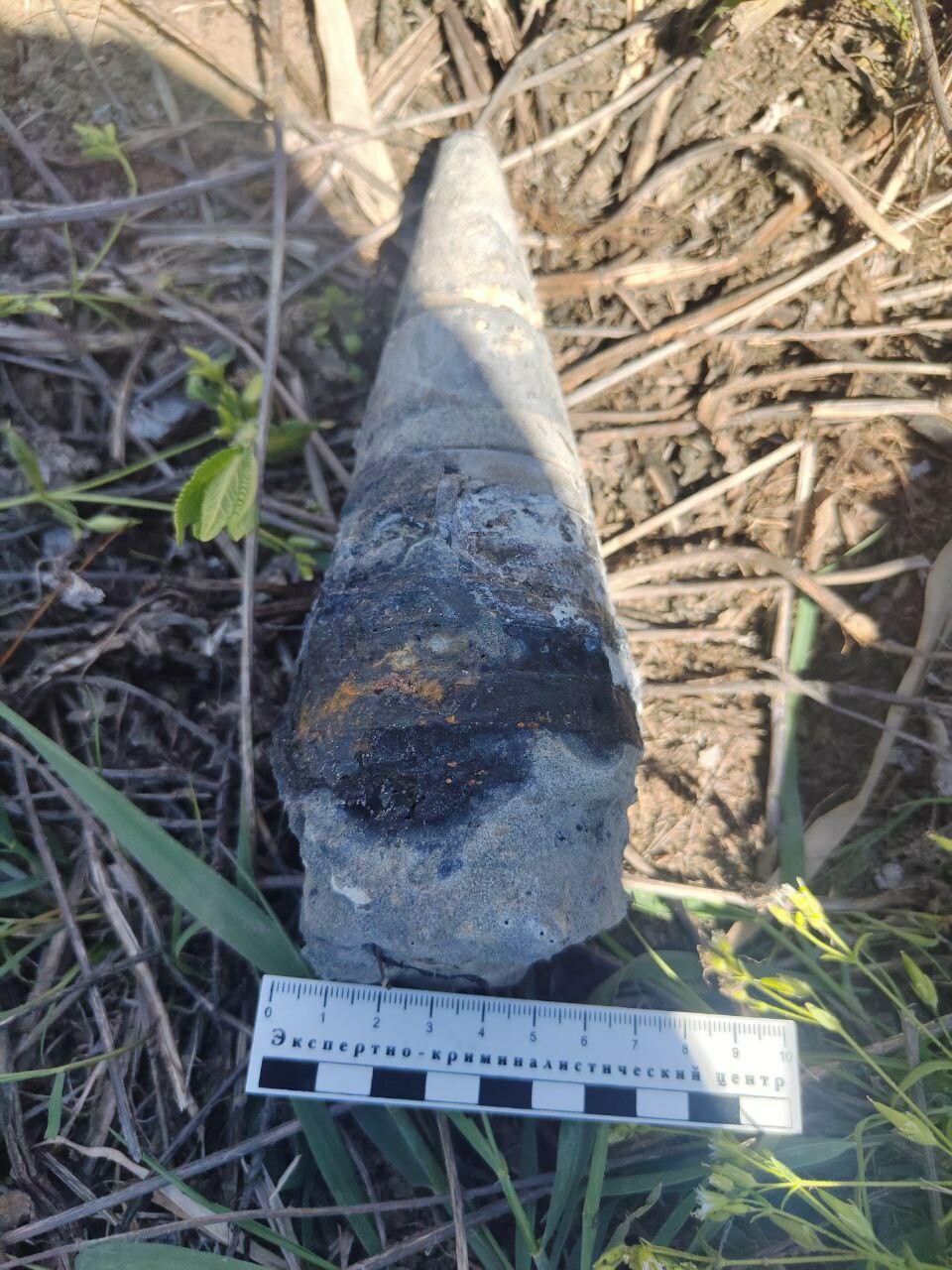 На берегу Волги в Астраханской области нашли боеприпас времен ВОВ
