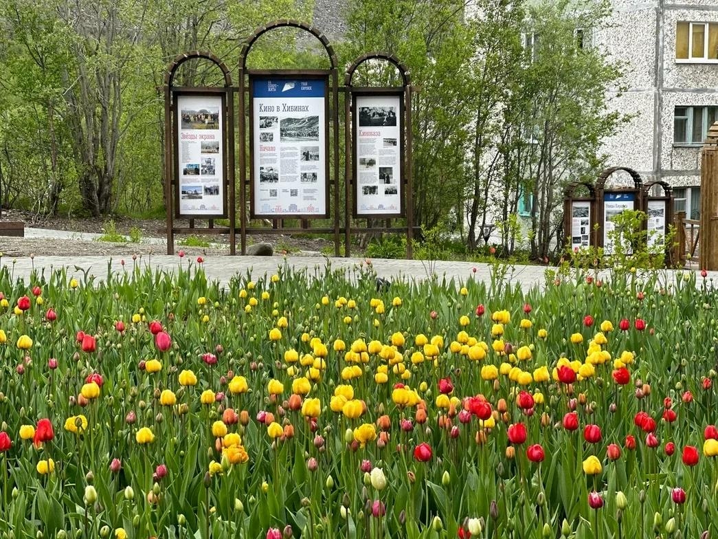 На озеленение Кировска потратят два миллиона рублей