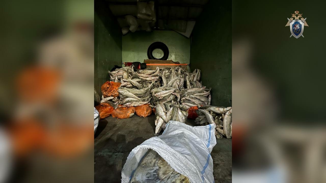 В Астрахани осудили предпринимателя за хранение и сбыт немаркированной рыбы