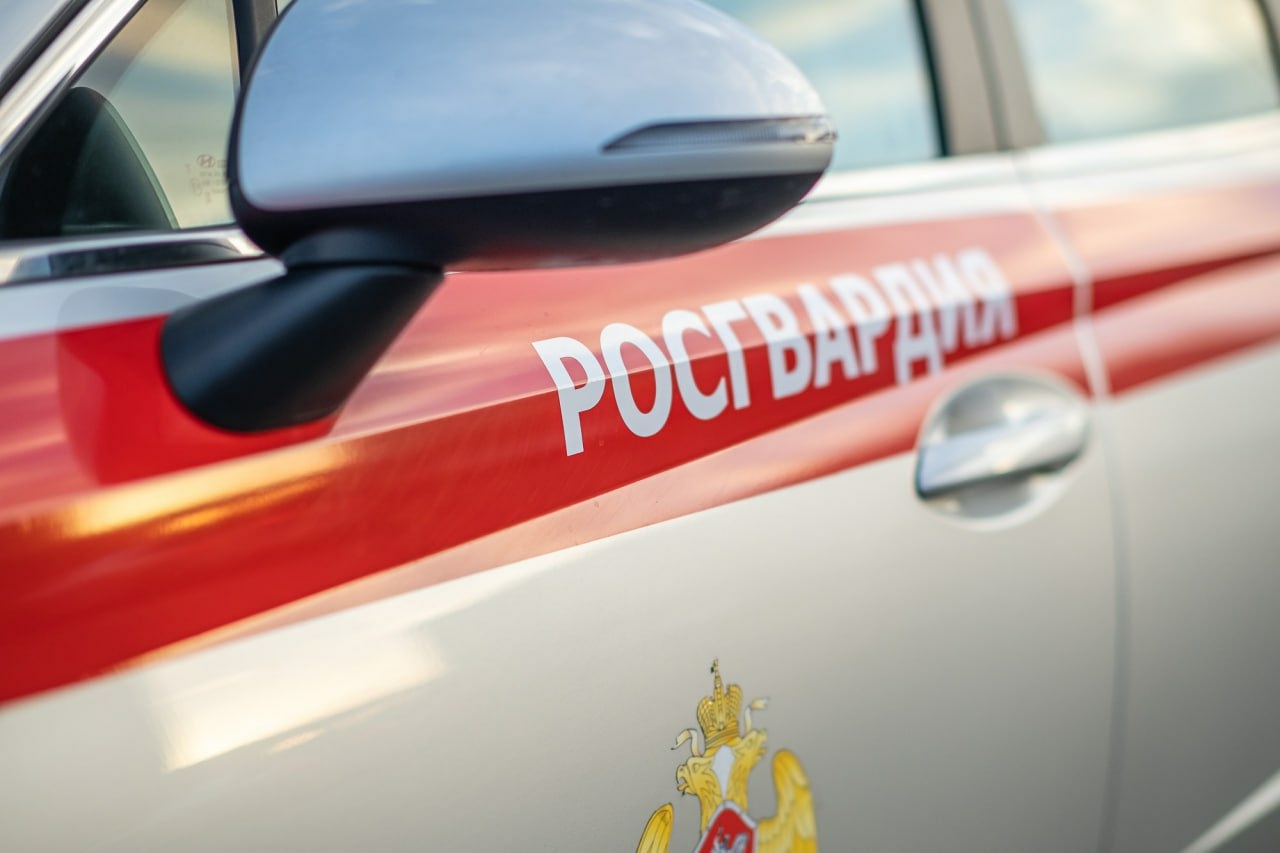 В Ейске нашли 70 снарядов времен ВОВ при уборке территории