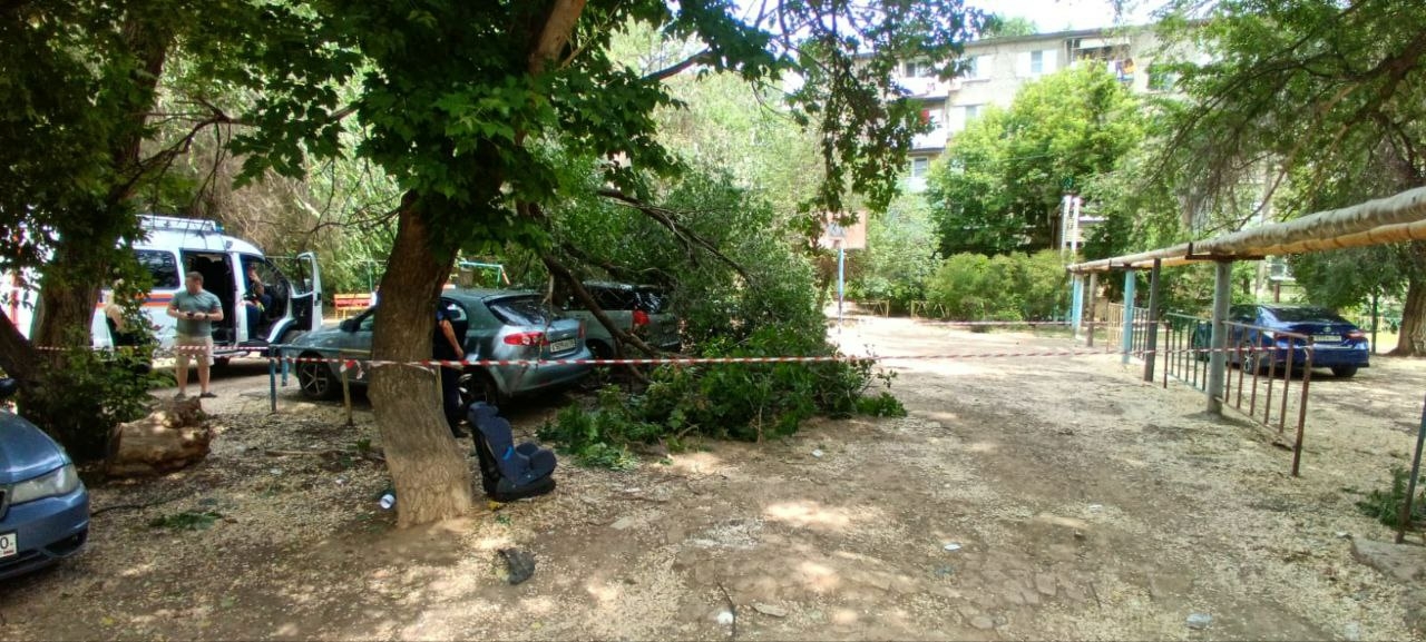 Астраханские спасатели убрали ветку, упавшую на припаркованные автомобили