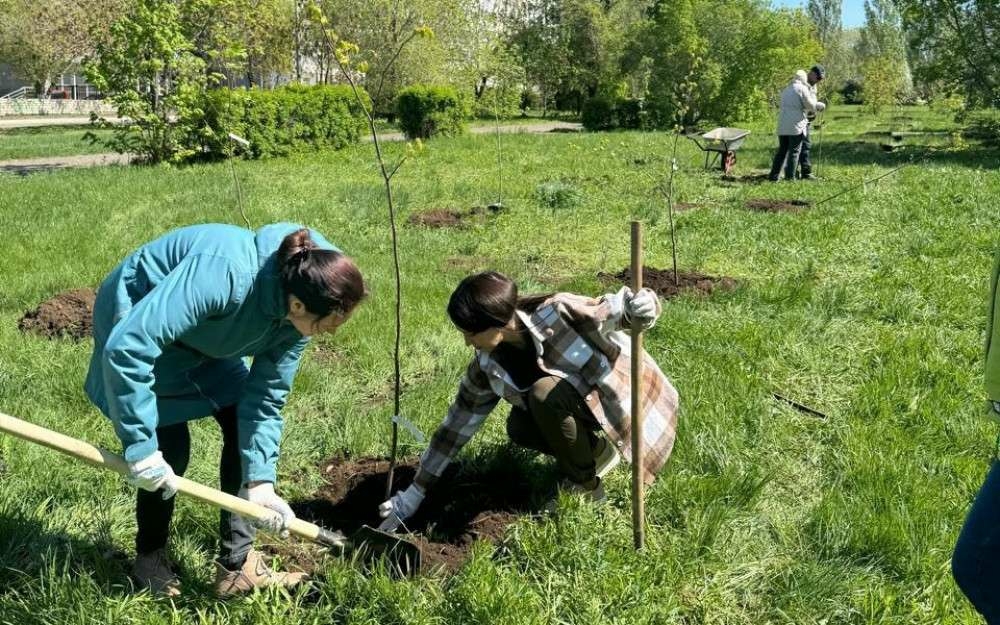 В Оренбурге высадили липы и рябины в честь семей и детей