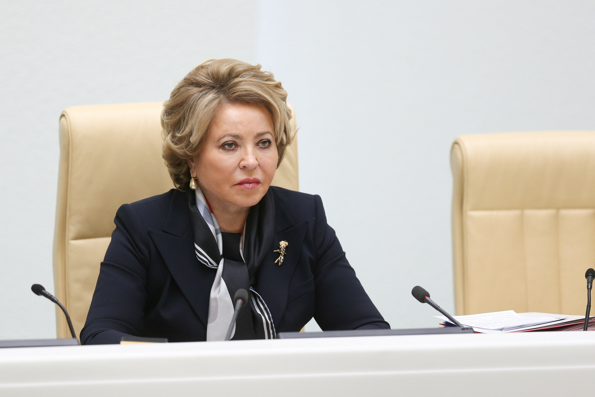 Губернатор Запорожской области обсудил с Валентиной Матвиенко социальные инициативы