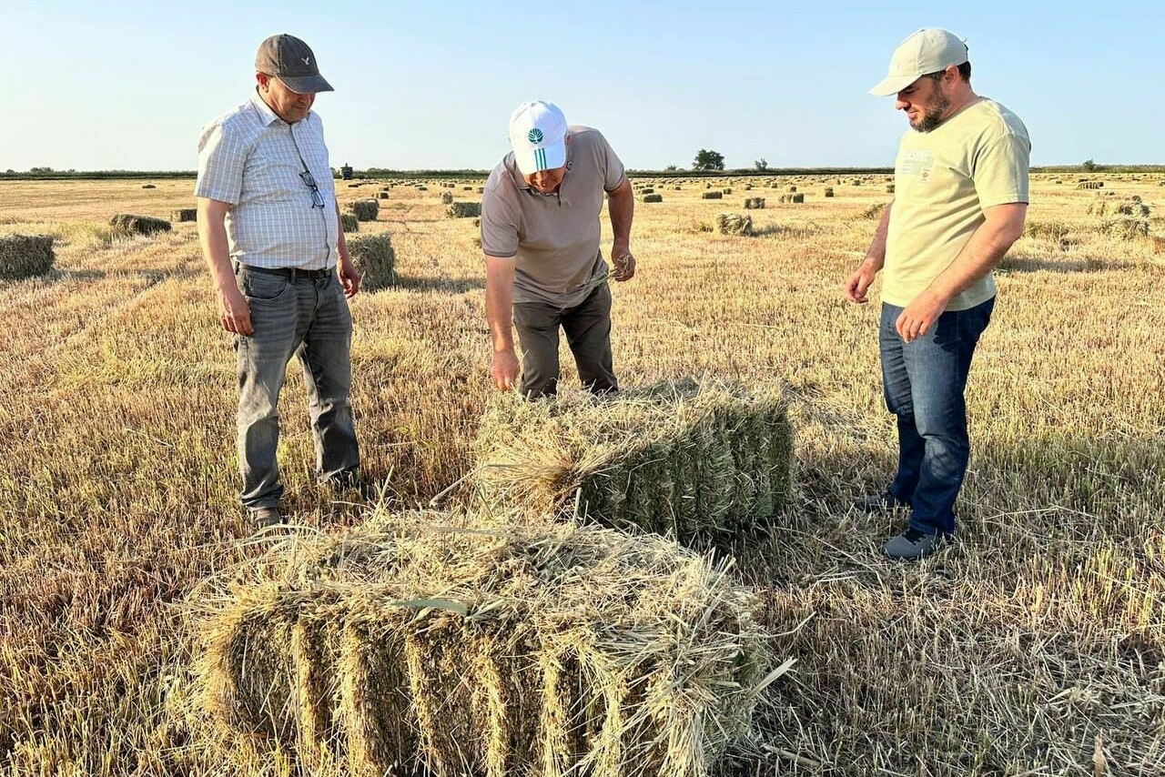 В Бабаюртовском районе уже заготовили более 130 тысяч тонн сена