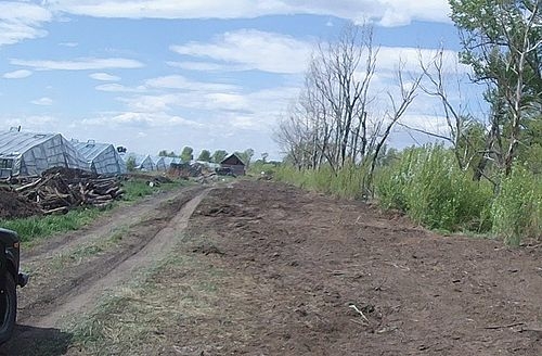 В Хакасии фермер восстановила 18 гектаров сельхозземель