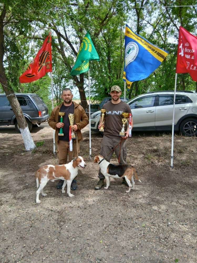 На Ставрополье выбрали лучших четвероногих охотников