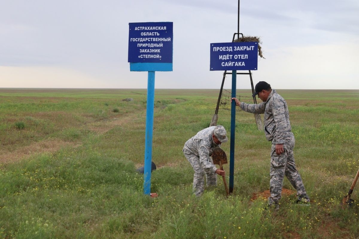 Заказник в Астраханской области закрыли