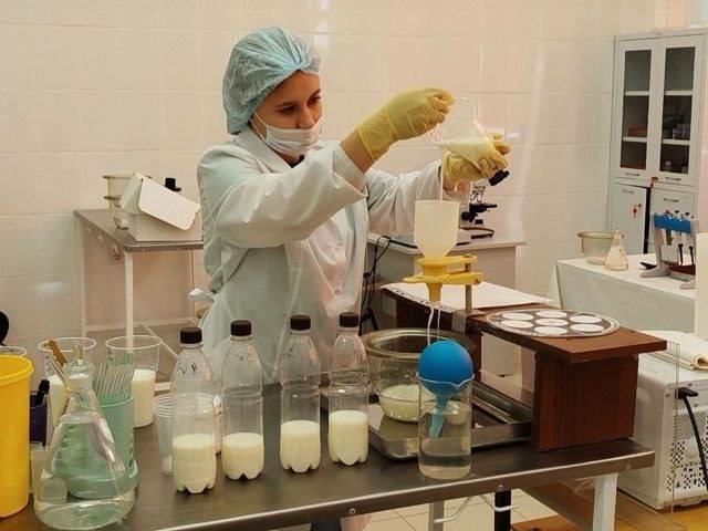 Новгородская область получила грант в рамках проекта «Профессионалитет»