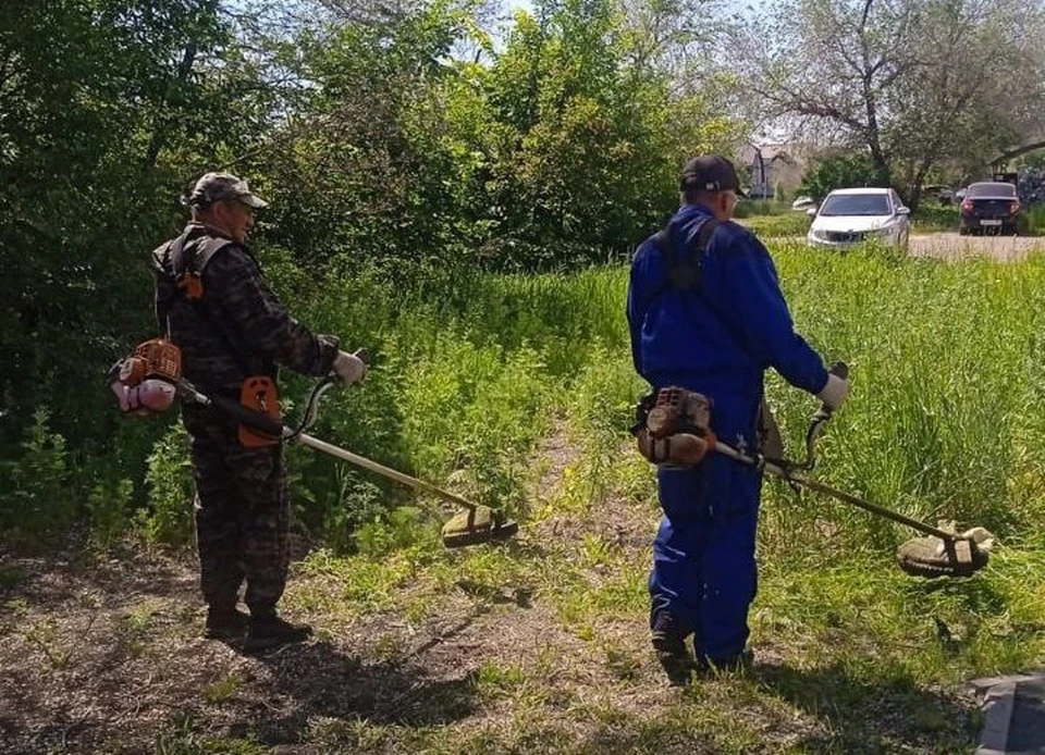 В Оренбурге на 80% завершили первую волну покоса травы