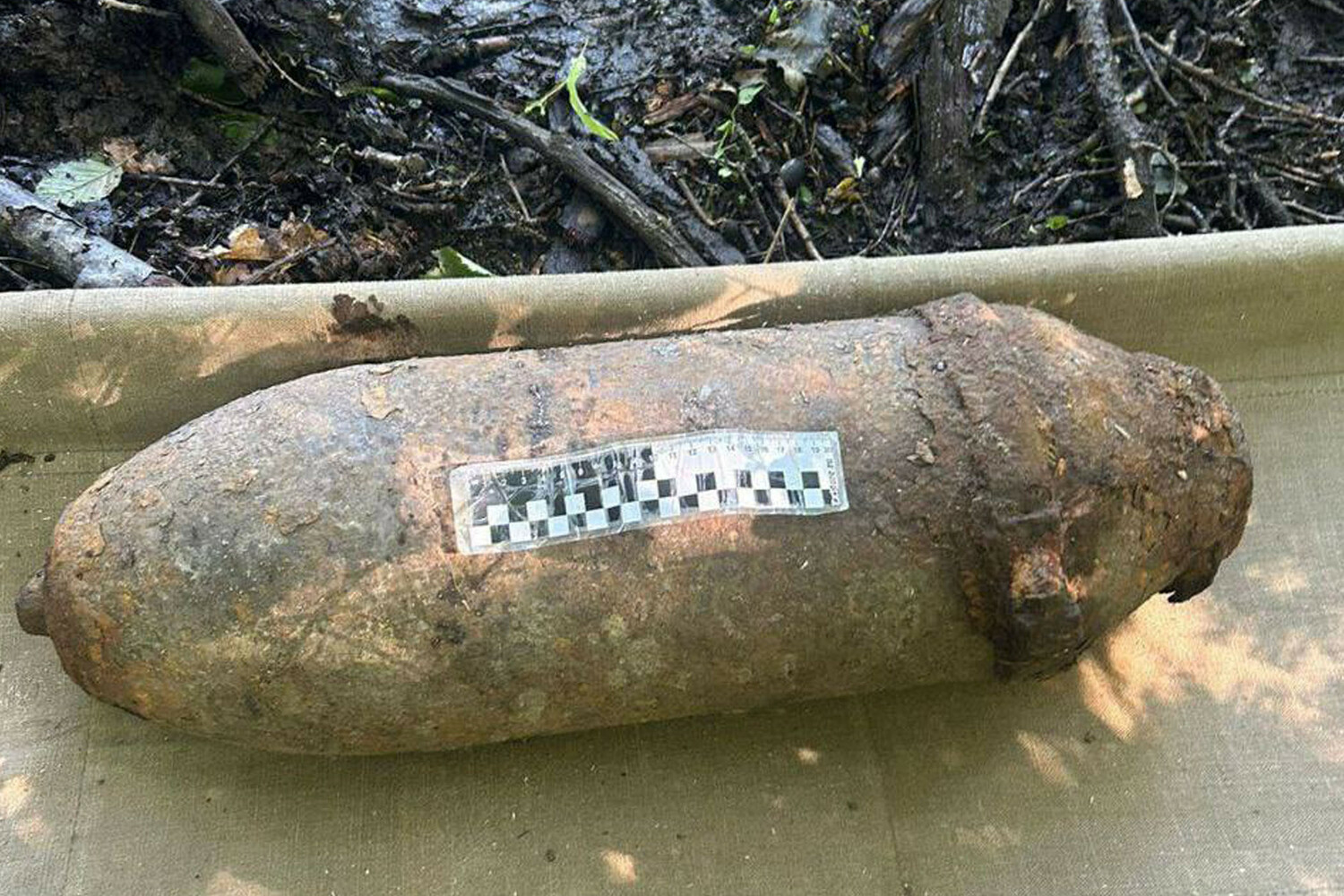 Под Калининградом нашли авиабомбу