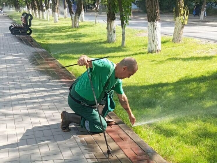 В Астрахани поднимут штрафы за беспорядок у зданий и засохшие газоны