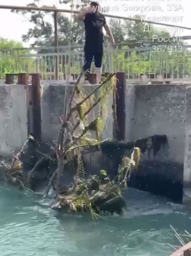 Из канала в Дагестане достали деревья, мешавшие подаче воды