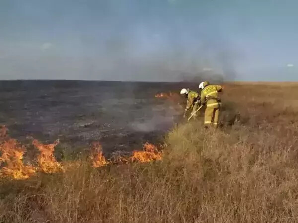 На Дону объявлен оранжевый уровень пожароопасности