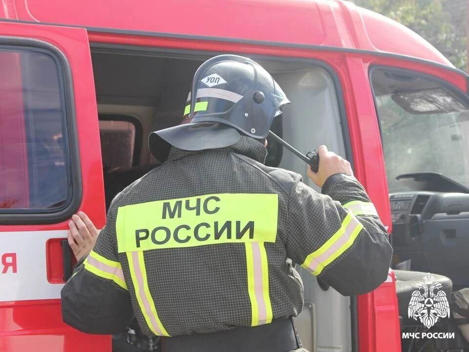В Курской области спасатели удалили с водоемов 14 детей