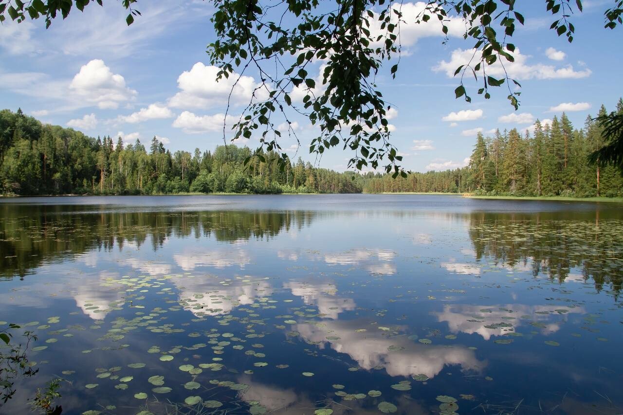 В Новгородской области 18 июня сохранятся грозы и жаркая погода