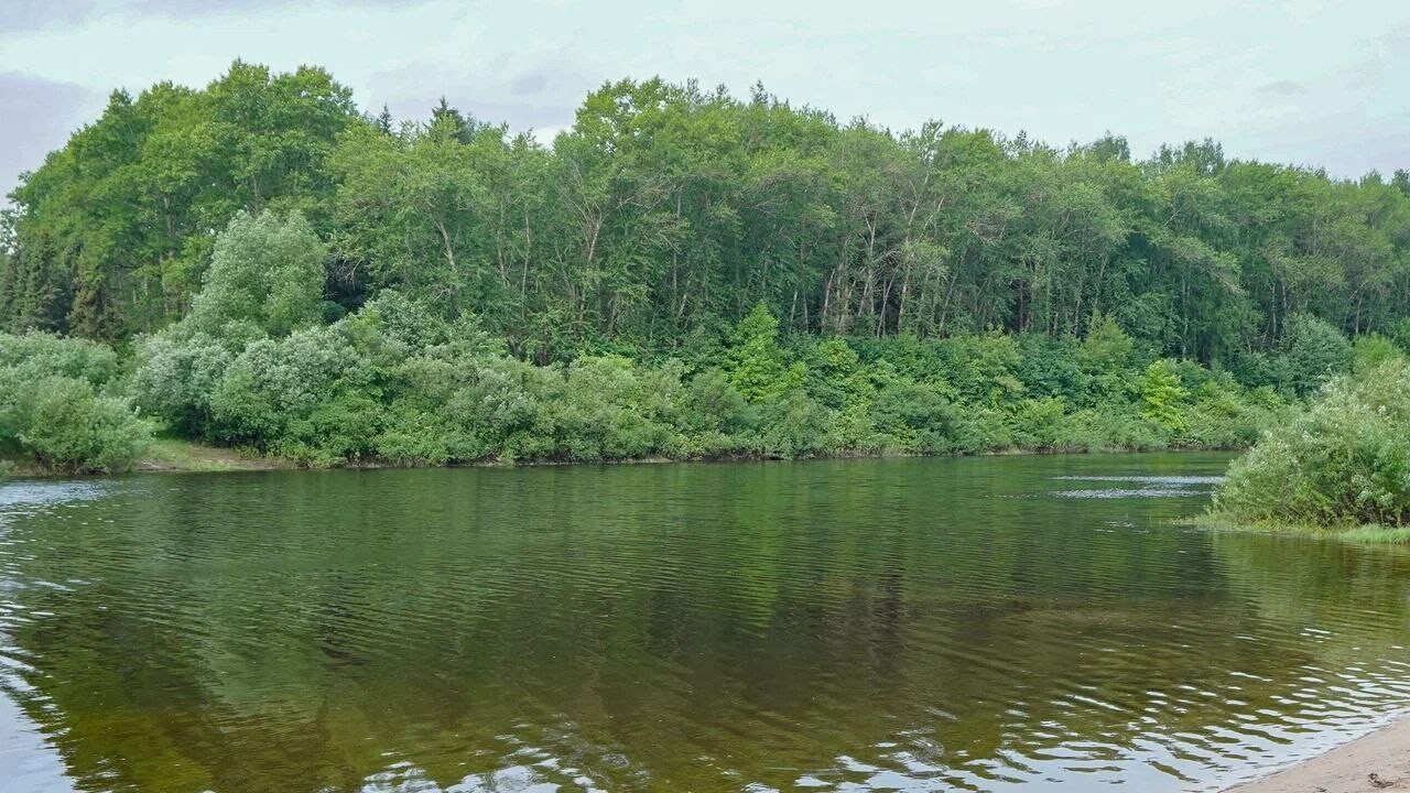 В Вологде городской пляж в парке Мира готовят к открытию