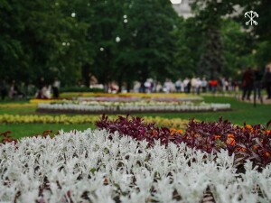 Фото