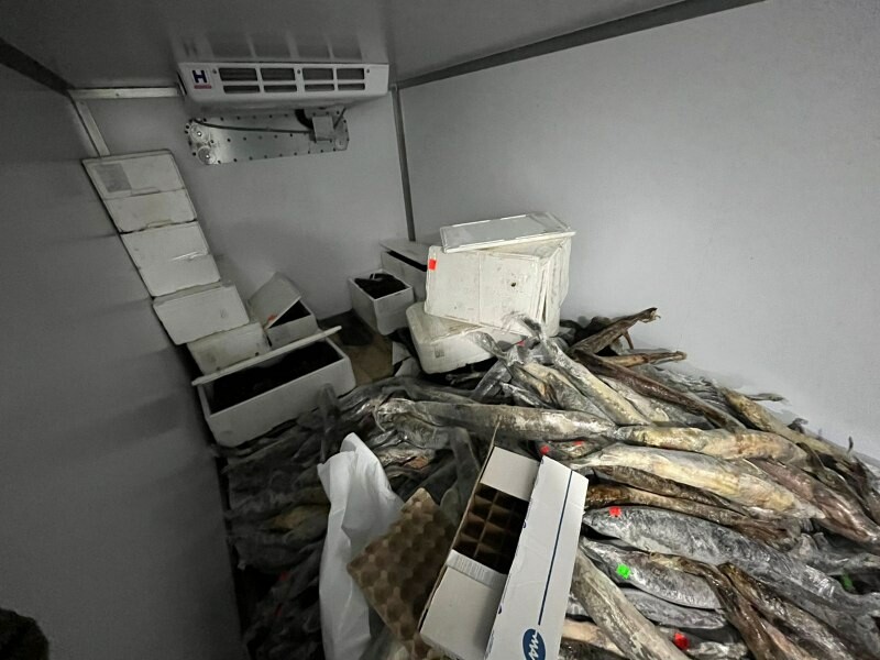 В Астрахани у предпринимателя изъяли 800 кг осетрины и 100 кг черной икры