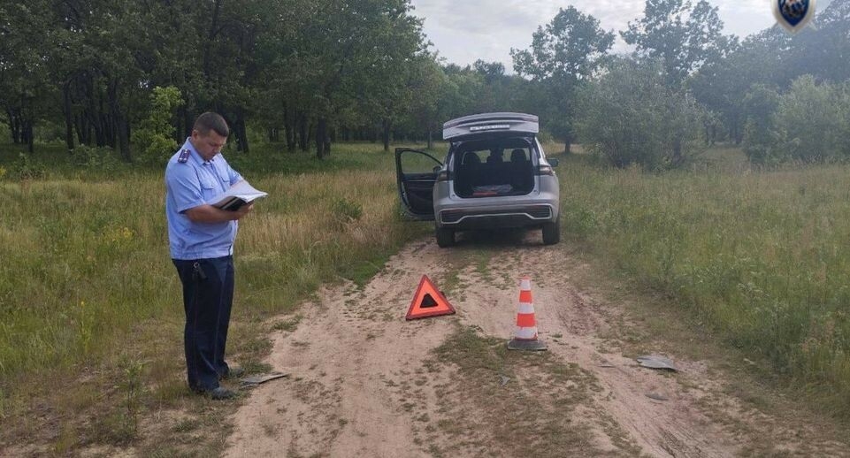 В Дзержинске возбудили уголовное дело после гибели ребенка в ДТП