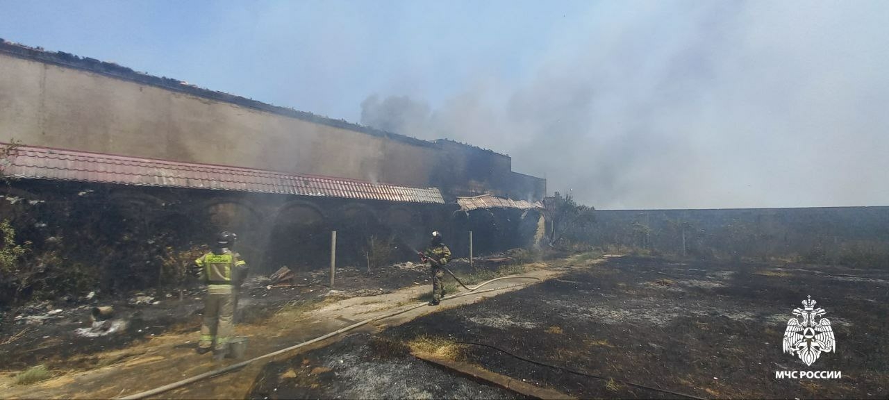 Пожар на базе отдыха в Махачкале полностью ликвидирован