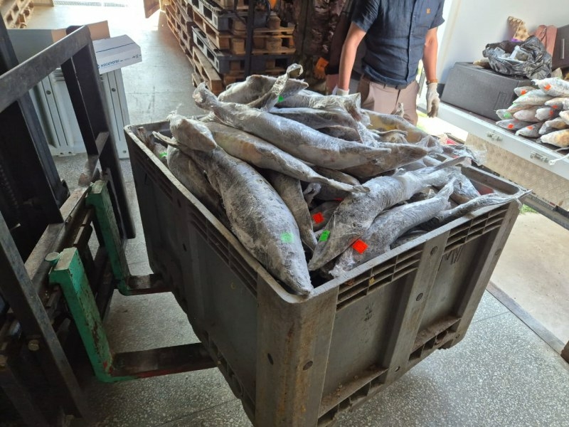 У астраханца изъяли 46 осетровых при попытке вывоза через село Тишково