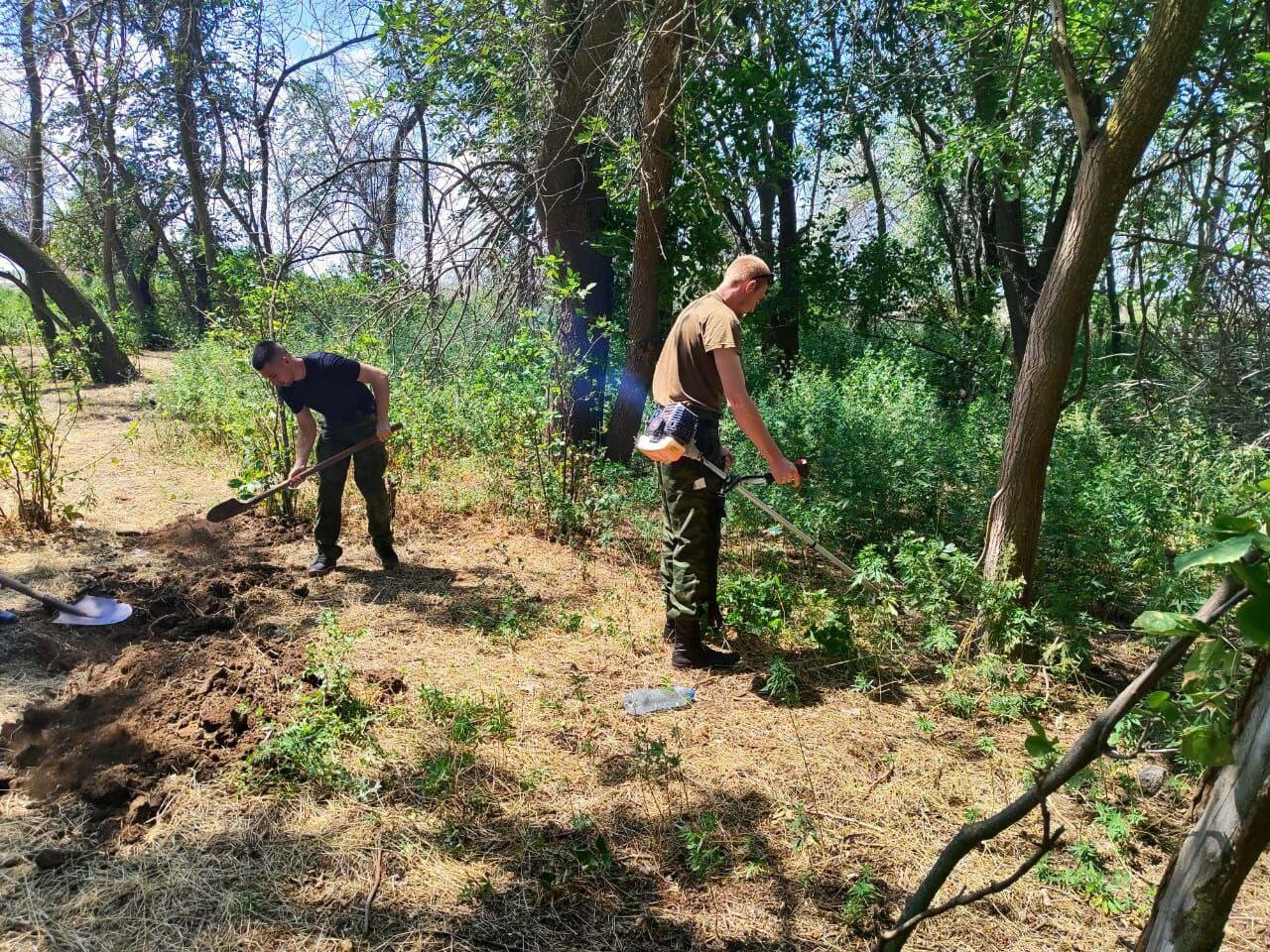 В Астраханской области продолжается борьба с дикорастущими наркорастениями