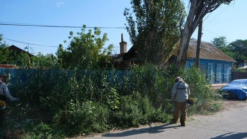 В Астрахани скосили более 350 гектаров сорняков из-за угрозы пожаров