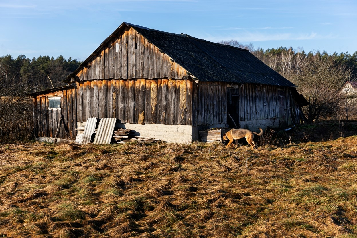 В Новосибирской области упразднили два нежилых населенных пункта