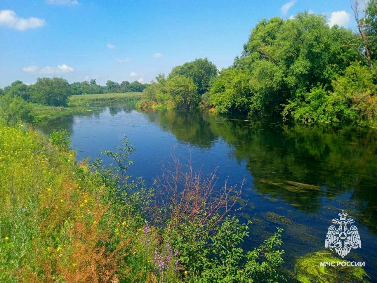 В Тульской области в реке Красивая Меча обнаружено тело мужчины