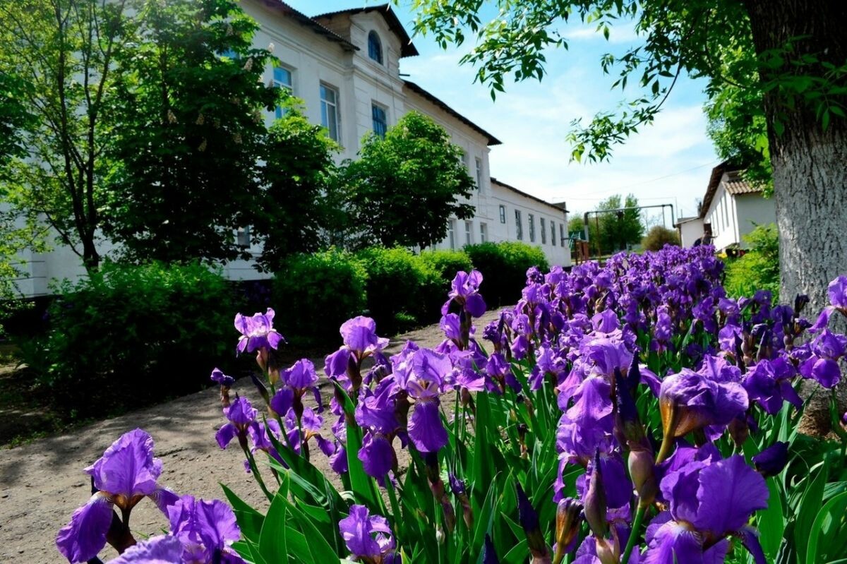 В школу ЛНР отправят 386 книг из Хакасии в помощь после ливня