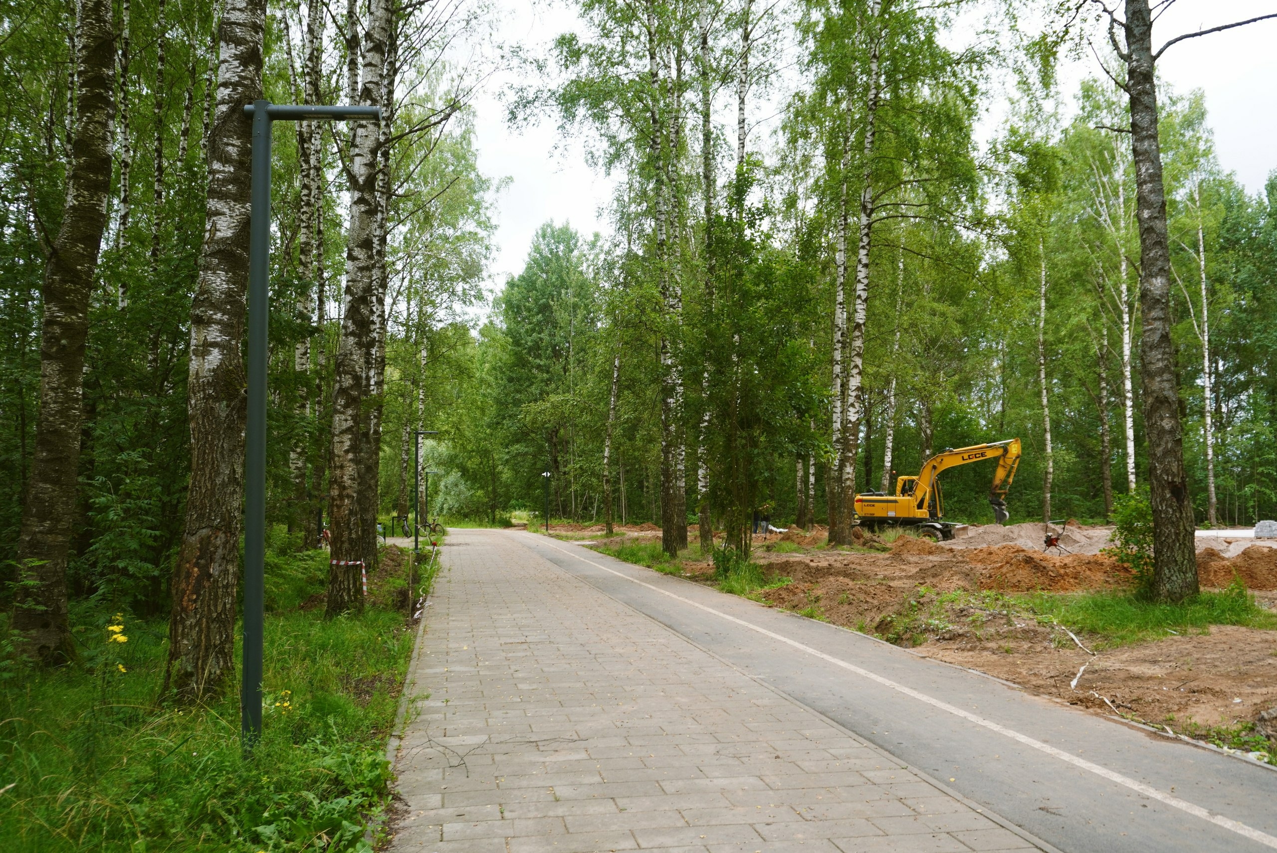 В Великом Новгороде продолжают благоустройство парка «Деревяницкая роща»