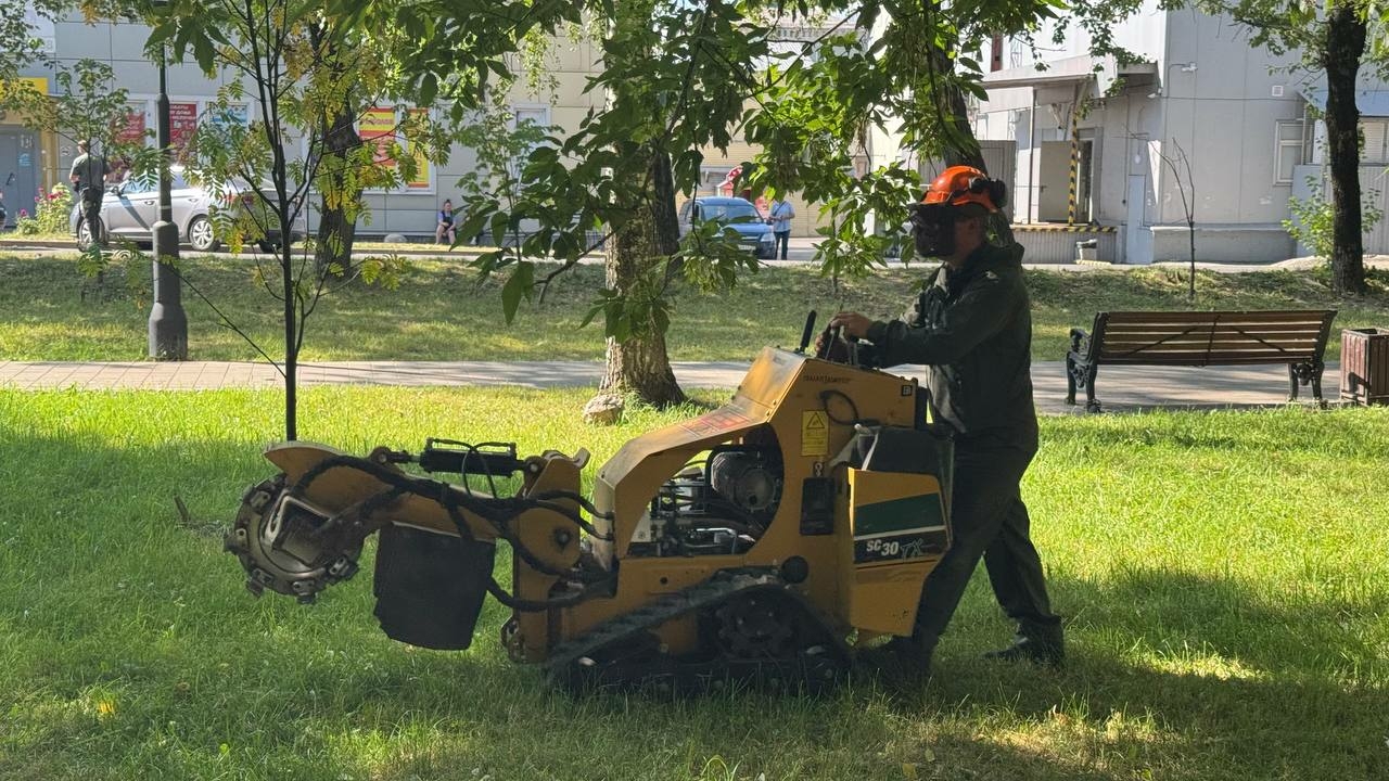В Череповце убрали более 60 пней