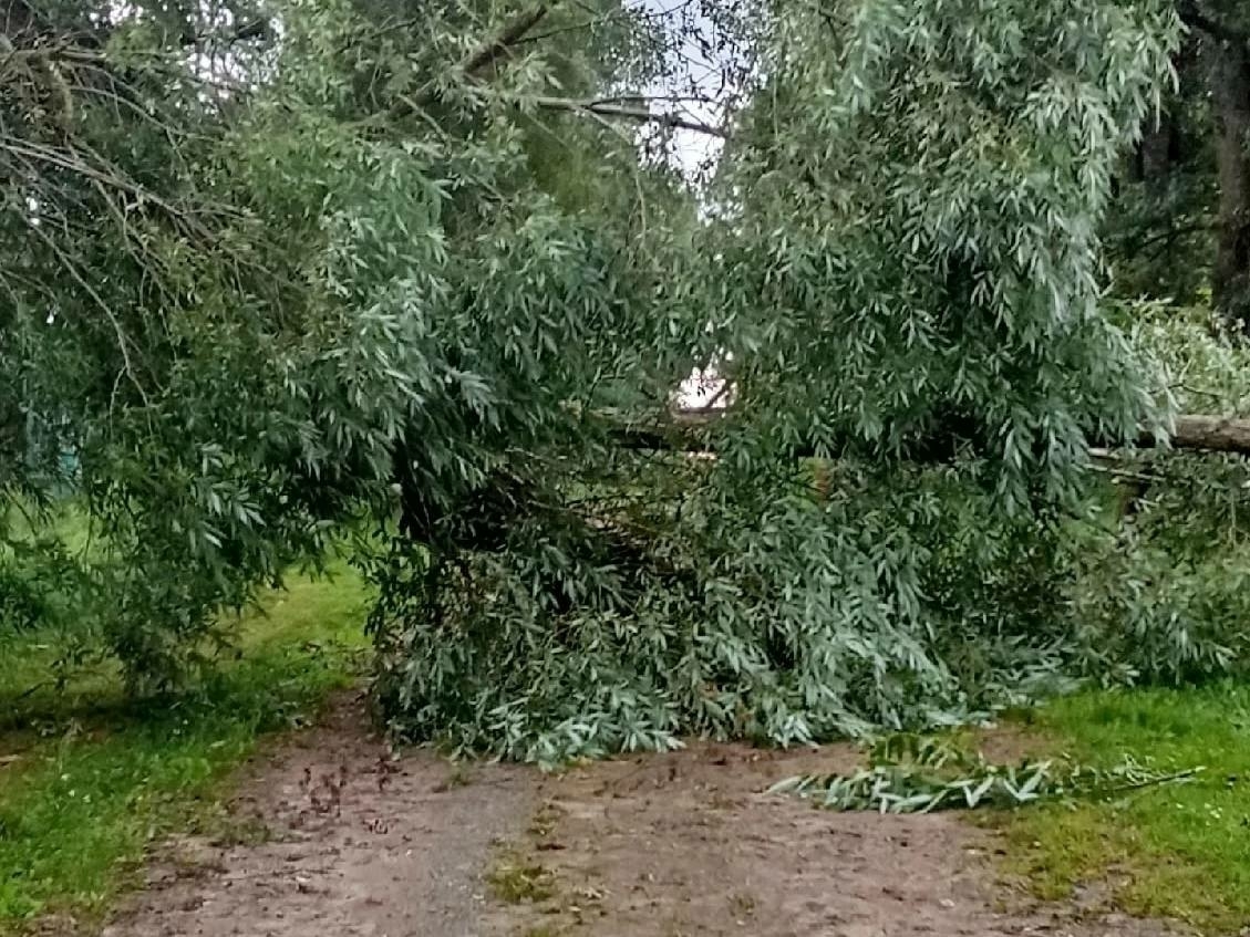 На Старую Руссу обрушился сильный ливень со шквалистым ветром и грозой