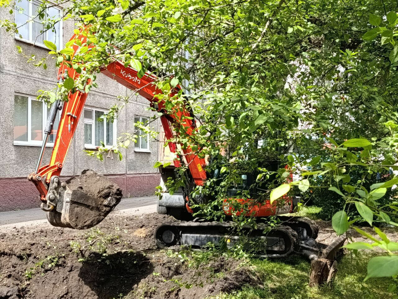 В Кемерове начали замену труб рядом с десятками яблонь