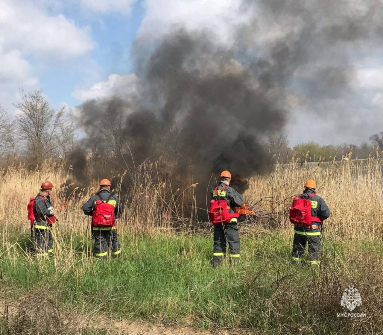 Пожарные Ростовской области потушили десятки возгораний за сутки