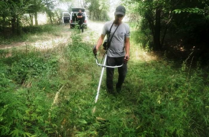 В Астраханской области стартовала операция «Мак-2025» уже есть первые итоги