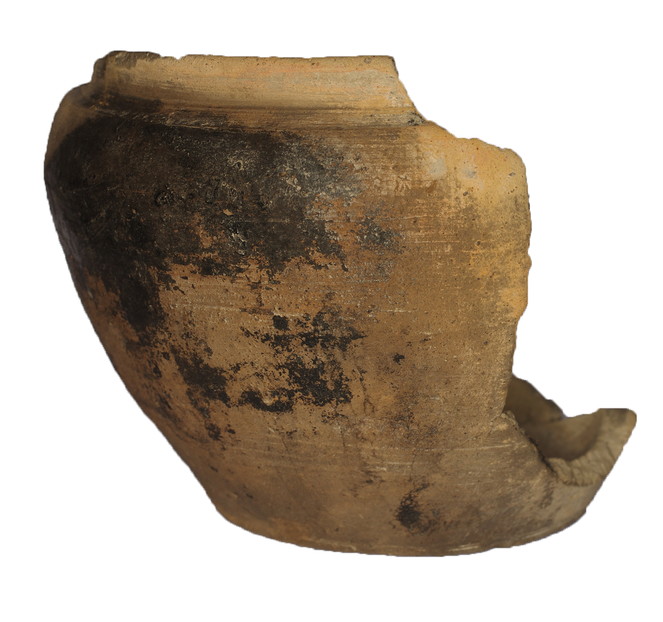 В Московской области археологи раскопали деревню XIV–XVI веков