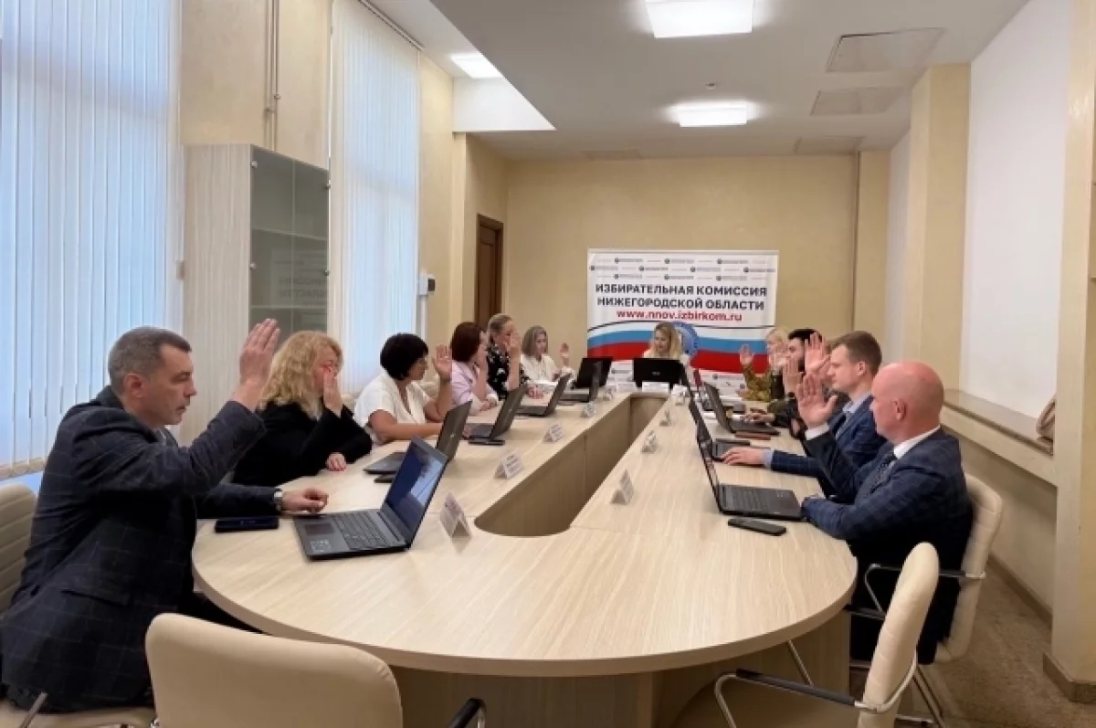 Нижегородский избирком закупит сувениры для впервые голосующих за 3 миллиона рублей