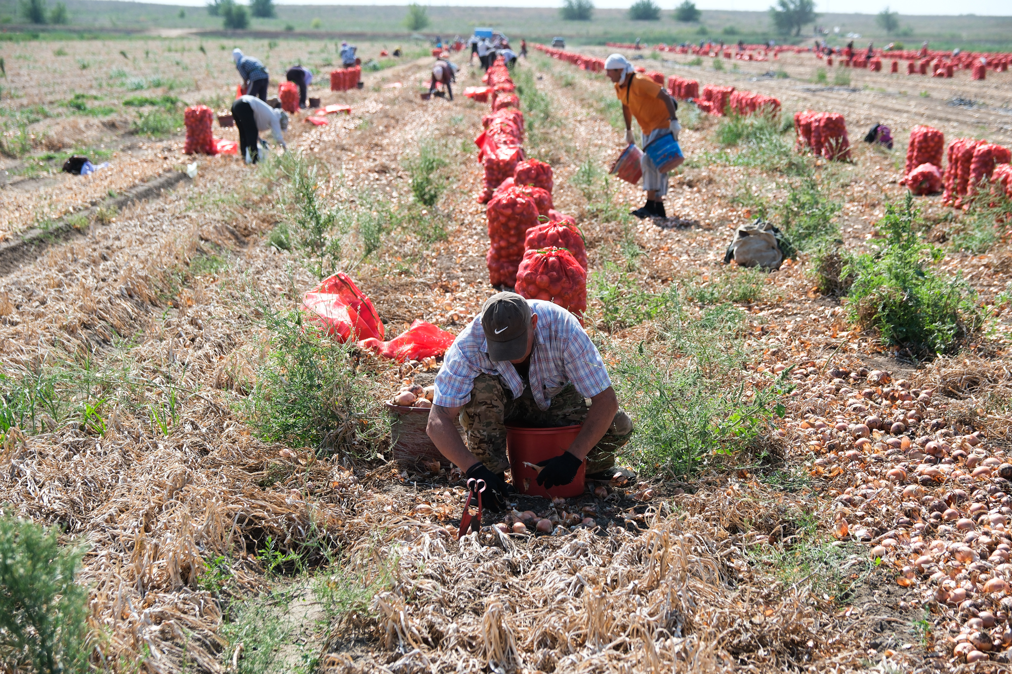 Игорь Мартынов посетил Харабалинский район, где успешно развивается агропромышленный комплекс