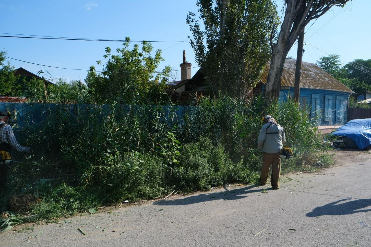 В Астрахани скосили камыш на площади свыше 350 гектаров