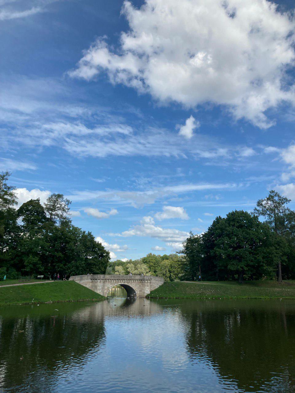 В Ленобласти по итогам «Рейтинга 47» в лидерах оказались три района