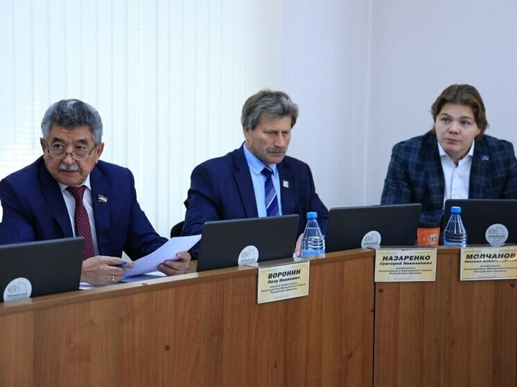 Депутаты Хакасии предложат изменения в порядок использования маткапитала