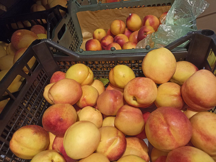 В Калининграде выявили восточную плодожорку в партии турецких нектаринов