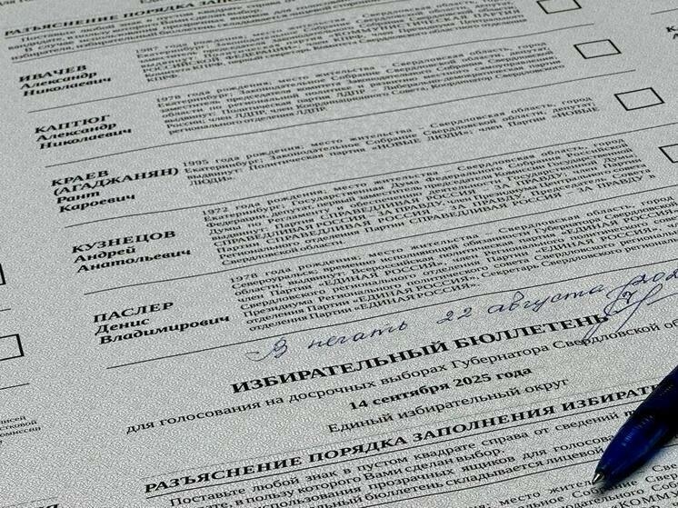 Каждый тринадцатый свердловчанин выбрал дистанционное голосование на предстоящих выборах