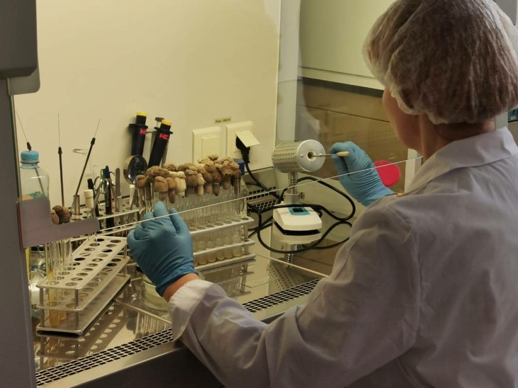 Вологодские студенты-целевики аграрных направлений могут оформить выплату