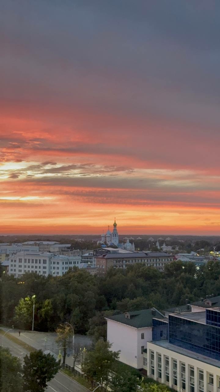 В августе на Вологодчине зарегистрировали один аборт по медицинским показаниям