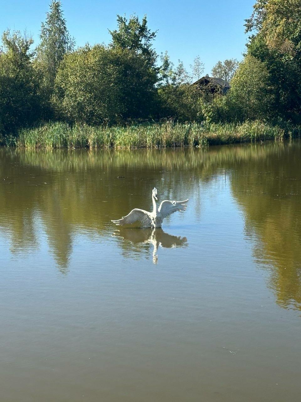 В Тихвине появляются арт-объекты и зоны отдыха по мотивам детских сказок