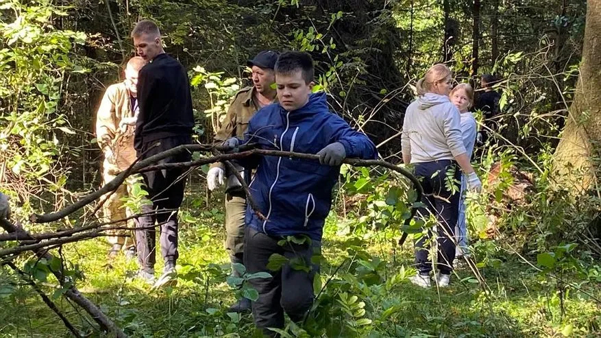 В Костромской области добровольцы очистили девять гектаров леса от мусора