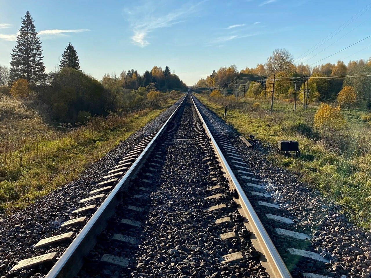 В Новгородской области завершили масштабные работы по корректировке рельсов