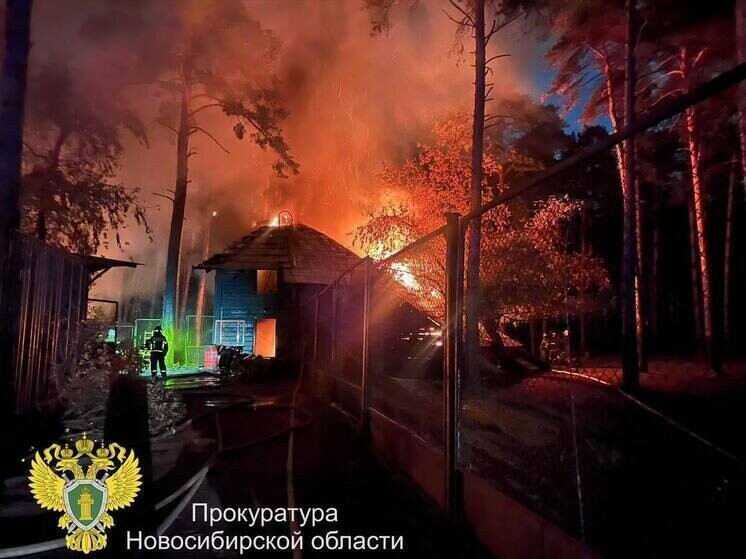 Директор зоопарка рассказал о спасении животных после пожара в Новосибирске